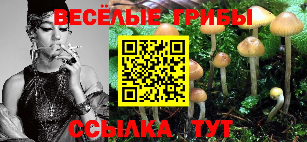 Алушта  Галлюциногенные грибы мицелий  Вход с VPN  Галлюциногенные грибы мицелий 